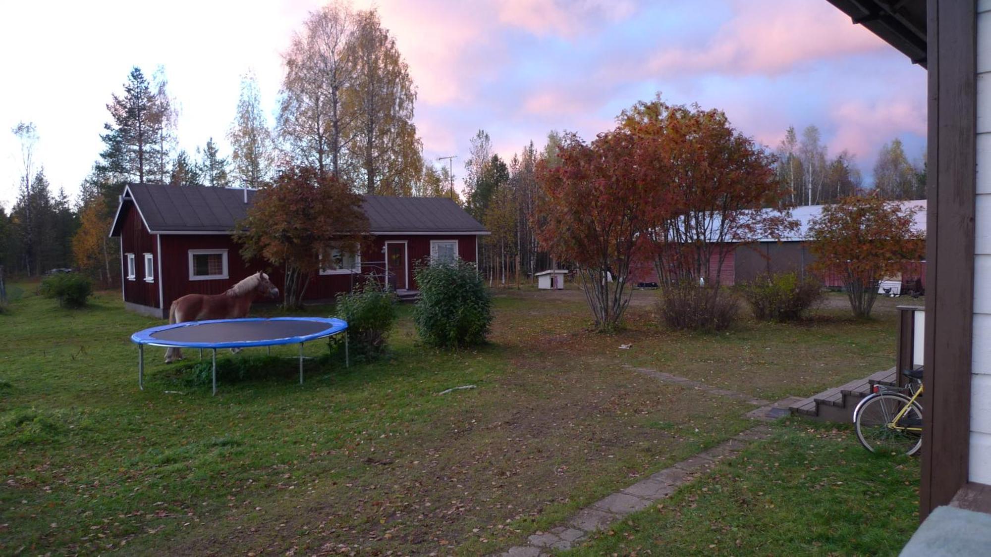 Heidin Mummola Farm Villa Pello Buitenkant foto